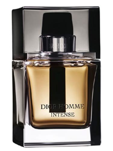 larise dior herren|Dior intense cologne 2007.